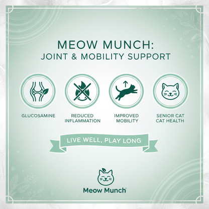 Benefits Infographic